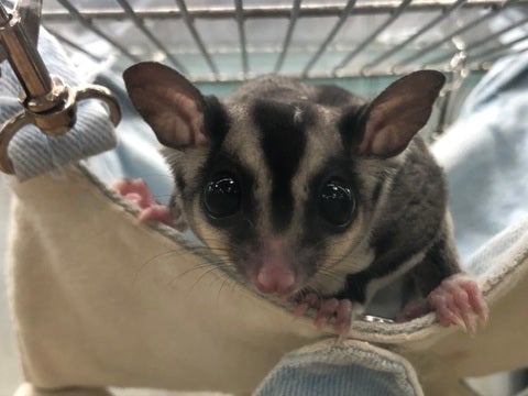 【1月10日撮影】とっても食いしん坊さん💕