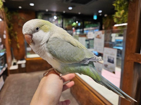 是非お店でご覧ください✨