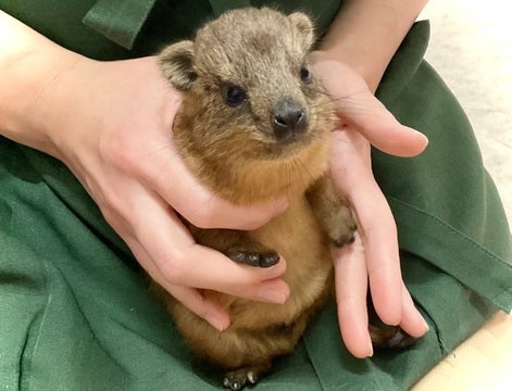 おててがかわちいのよ❤️