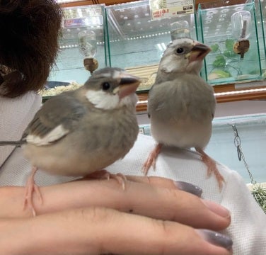 2人とも仲良しです😍