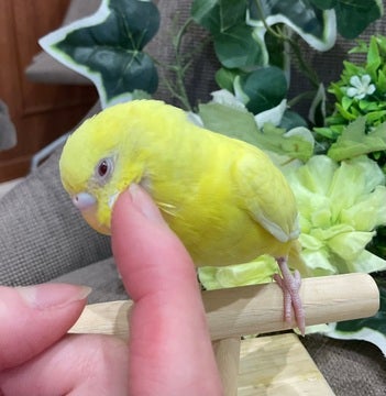 【2025/2/20 撮影】カキカキできます❣️