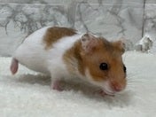 ※写真はイメージです