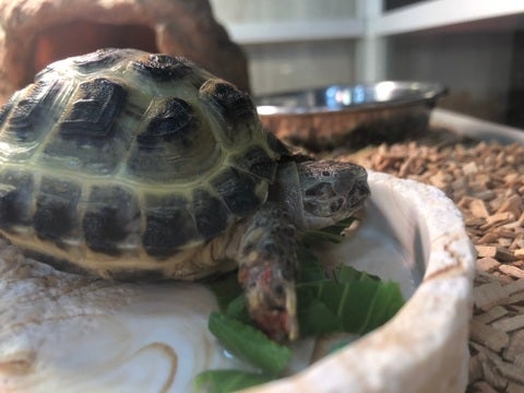 【2月23日撮影】ご飯入れの中で…💤