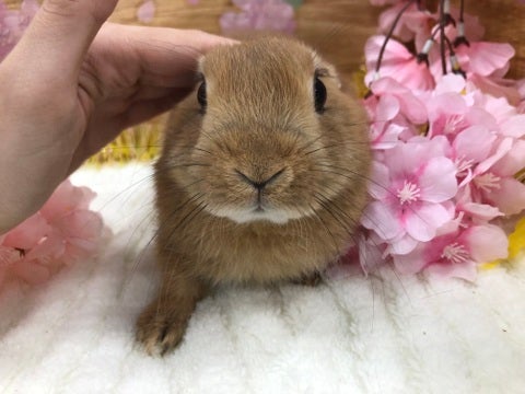 【2月22日撮影】ナデナデ好き🥰