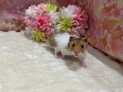 なかよし🫶🏻💓