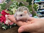 【2025.03/05撮影】かわいいお顔♡