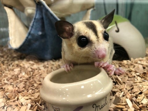 【3月6日撮影】食いしん坊くんです💕