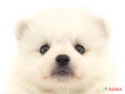 【2025/03/12撮影】