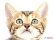 【2025/03/31撮影】