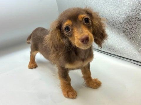 2025/04/04   マイペースなおっとりくん🐾💗