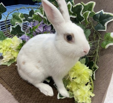 【2025.04/04 撮影】ナデナデ大好き❤️