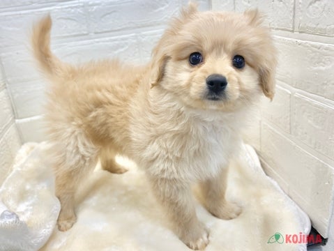 2025/04/08　撮影　人懐っこい元気な男の子☆彡