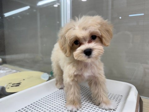 2025/04/10撮影  トイレの上から失礼します🙇