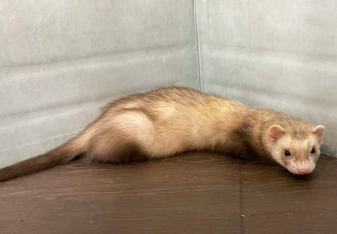 いっぱい食べていっぱい遊んでとっても元気です❣