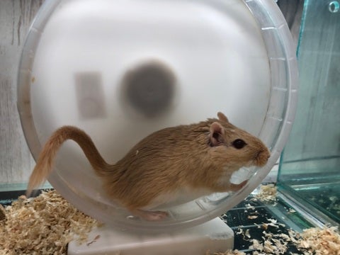 【4月13日撮影】