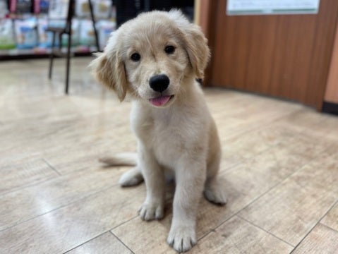 楽しいな～ニコニコ😆🎶（2025.4/14撮影📸）
