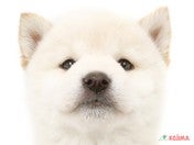 2025/04/14撮影