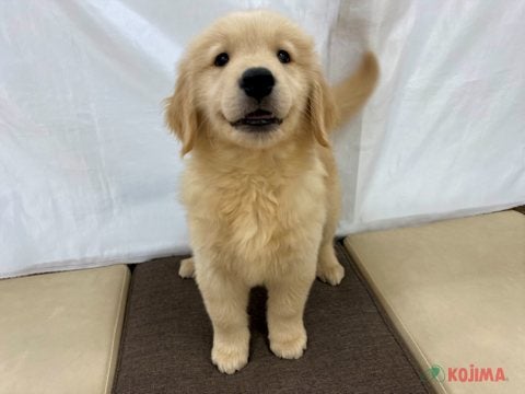 2025/04/17　撮影　笑顔が素敵です♡