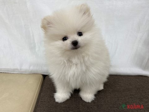 2025/04/17撮影　音に反応して首をかしげてくれます♡