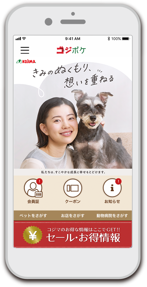 コジポケキャプチャ