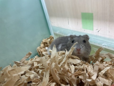 2025/03/31 撮影📸　※写真はイメージです