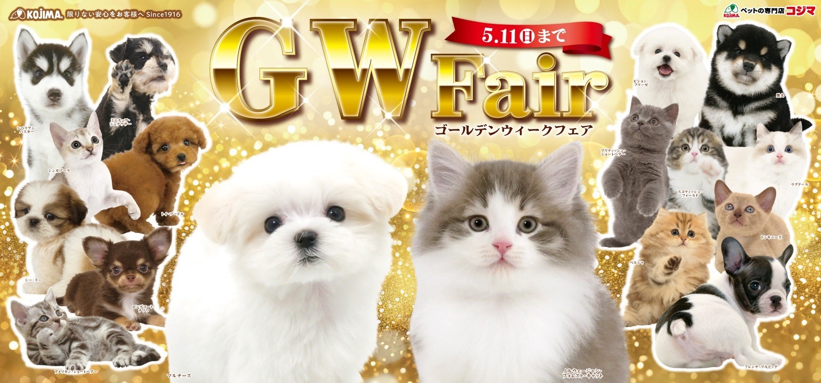 ゴールデンウィークフェア