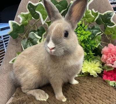 【2025/04/20 撮影】こっち見てくれました♡