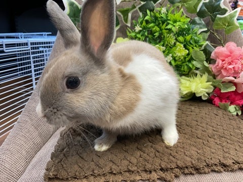 【2025/04/20 撮影】かわいい！！