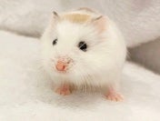 4月21日撮影💕