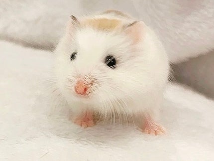 4月21日撮影💕