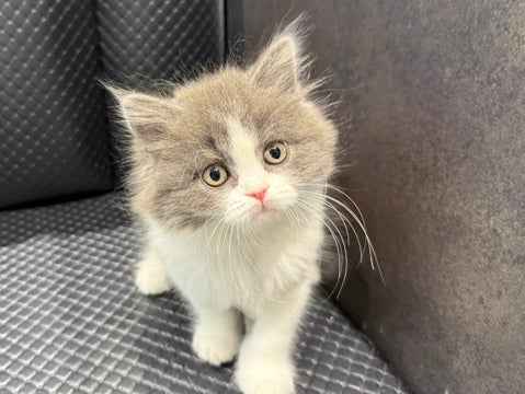 4/22撮影♬　会いに来てね🐾