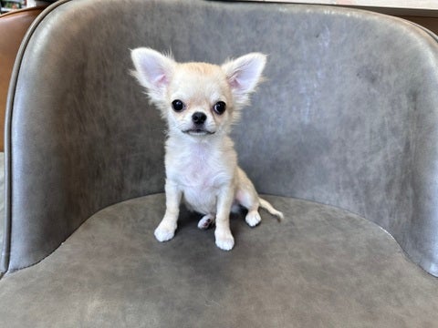 04/22撮影　会いに来てね🐾