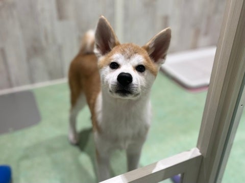 2025/04/22 スタイル抜群な秋田ちゃん☺️💫