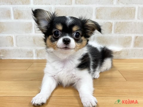 2025/4/23更新　むちむち💗