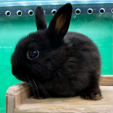 🐰🫶🏻😍ご来店お待ちしております😍🫶🏻🐰