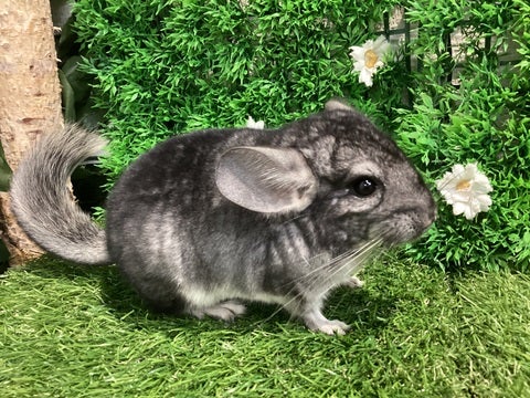 ☆4月23日撮影☆