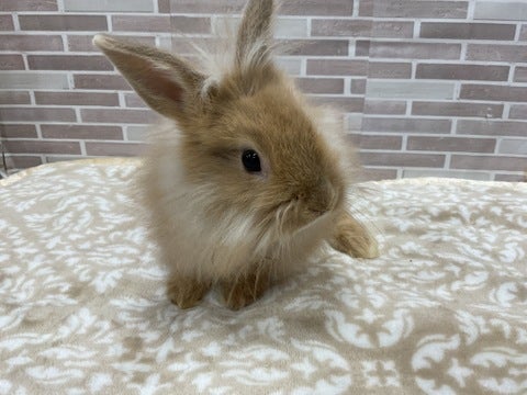 4/23撮影📸