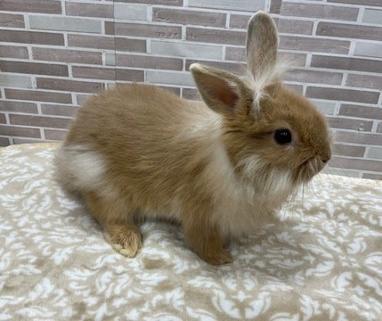 横顔✨