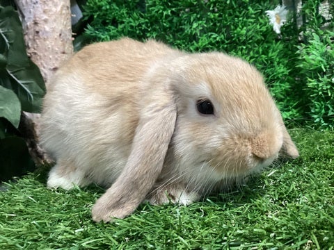 ☆4月23日撮影☆