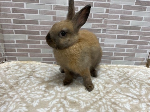 4/23撮影📸