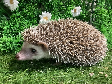 ☆4月23日撮影☆
