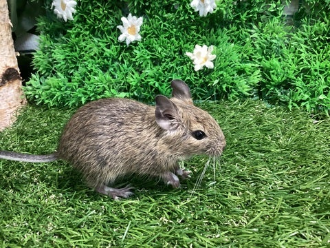 ☆4月23日撮影☆