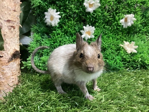 ☆4月23日撮影☆