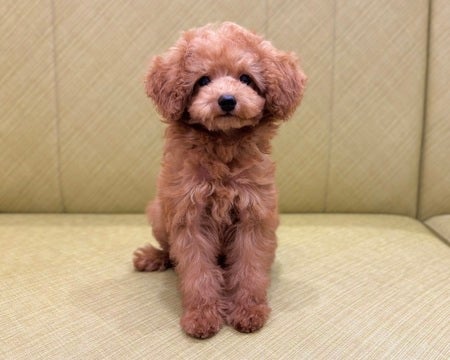 【2025/04/23撮影】やさしいお顔☺️