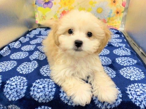 【2025/04/23撮影】とってもわんぱくで元気です🌟