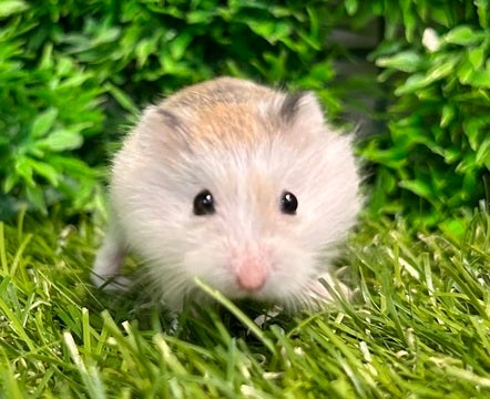 【写真はイメージです。】