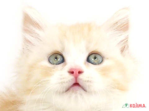 【2025/05/09撮影】