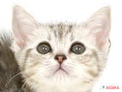 🐱気になったらまずはお電話ください！！☎