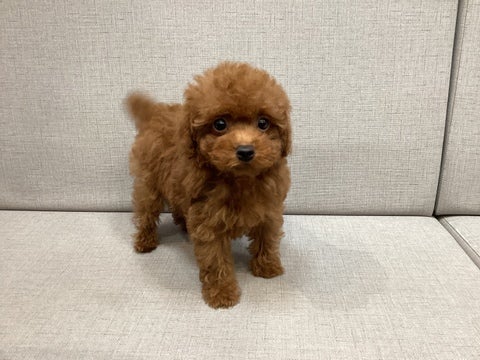 2025/4/24 更新　とっても元気いっぱい！ごはんだいすき🩷