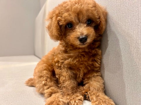 2025/04/24  人懐っこくお腹を出して甘えてくれるんです💕💕